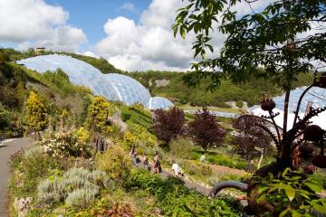 Eden Project, South Cornwall.jpg