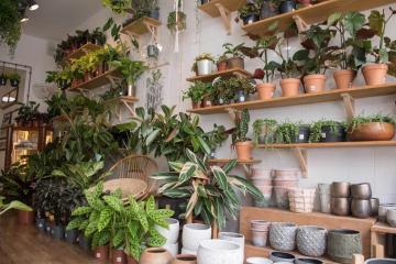 perfect-stays-interior-shops4.jpeg