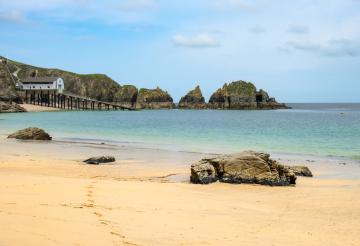 mother iveys (2).png