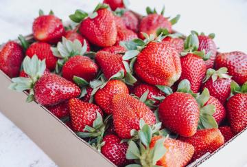 five-things-to-do-this-summer (3).jpg