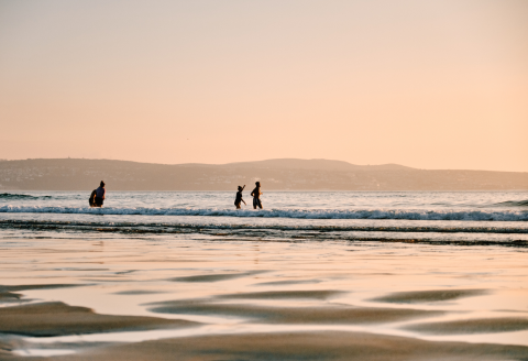 Header image (3).png