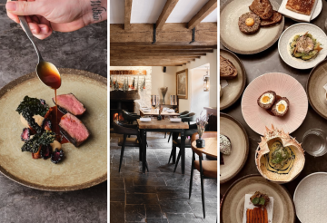 The Tartan Fox by John Hersey.png