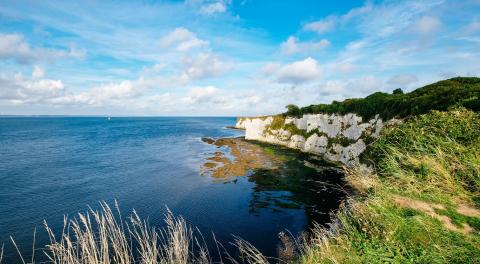12-reasons-studland-perfect-stays6.jpg