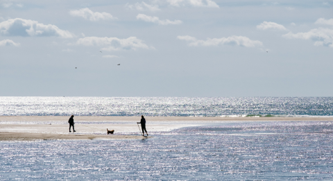 south devon beaches main image.png