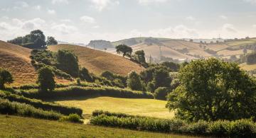 12-south-west-perfect-stays11.jpg