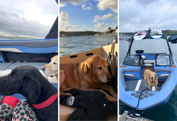 dog-friendly-experiences (3).png