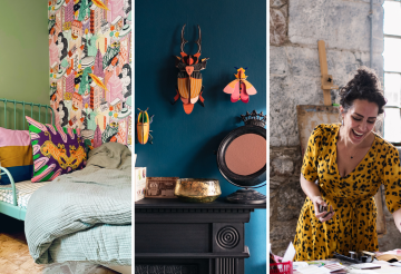 Feather and Fossil.png