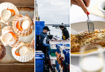 Rockfish, Sidmouth.png