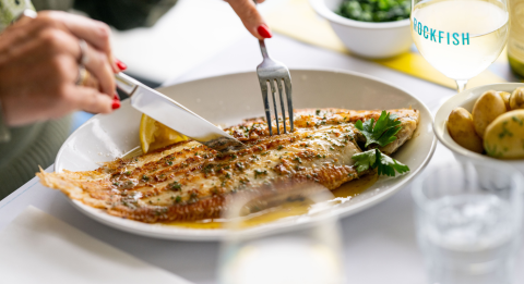 rockfish-main-image.png