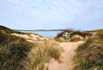 Sand dunes in the foreground and blue sky and ocean in the background.