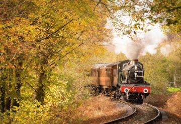 Steam train travelling through the countryside.