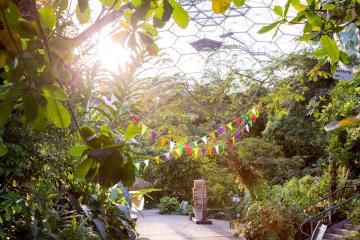eden-project-gardens,-matt-jessop-1 (1).jpg